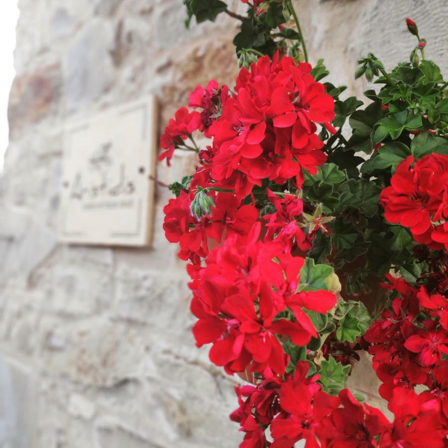 Aristidis'S Plouti Moires Konuk evi Dış mekan fotoğraf